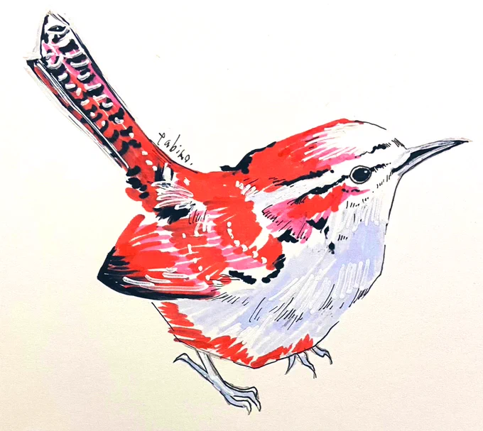 小鳥スケッチ。#小鳥 #鳥イラスト #スケッチ 