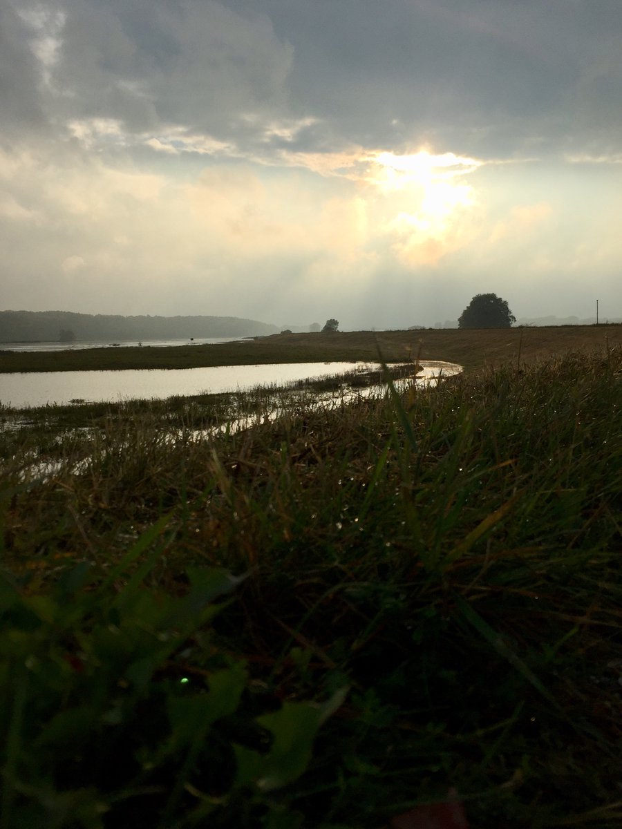 bauz_bln's tweet photo. #mitwelt #lenzen #auszeit #natur #eisvogel #eulen
Ein Ausflug nach Lenzen lohnt sich immer für Naturliebhaber. Garantiert begegnen einem hier Nutria, Biber, Eisvogel & co https://t.co/ZtJL63T4qH