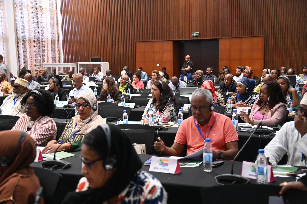 AU_HHS's tweet photo. #Day2️⃣: Started with a Roundtable
on Restitution of Heritage Resources led by Ibrahima Khane @OpenSociety. Discussion pts⤵️
• AU Model Law on Protection of Cultural Property &amp; Heritage 
• Great Museum of Africa
• Common African Position on
Restitution of Heritage Resources https://t.co/dURHSNyTXn