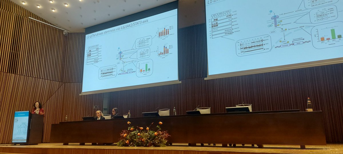SIC Italian Cancer Society (@sic_cancer) on Twitter photo Thanks to all PhD students and postdocs for their excellent oral poster presentations at the <a href="/SIC_cancer/">SIC Italian Cancer Society</a> annual meeting in Milan Thanks to all PhD students and postdocs for their excellent oral poster presentations at the <a href="/SIC_cancer/">SIC Italian Cancer Society</a> annual meeting in Milan