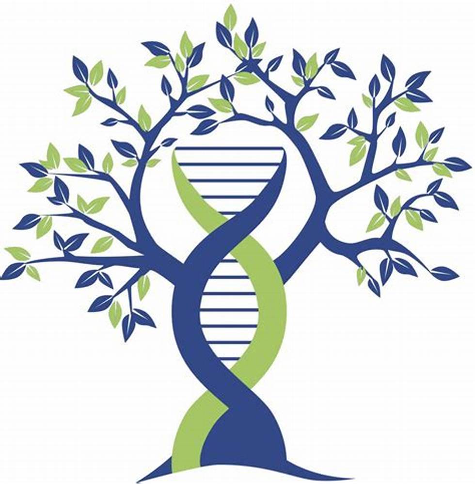EELaboratory's tweet image. We are recruiting two Postdoctoral Research Fellows in Plant Molecular Biology and Crop Genomics to join a $41million project leading “Genetics for next generation orchards”
seek.com.au/job/78811945
seek.com.au/job/78812317