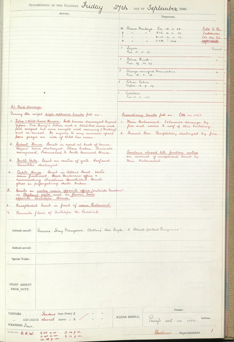 ZSLLibrary's tweet photo. #OTD in 1940 - @ZSLLondonZoo was recovering from overnight bombing. The damage was recorded in the "Daily Occurrences" kept in our #archives. 
A Grevy's zebra &amp; a wild ass with her foal escaped but were soon caught.
More about the impact of World War II: https://t.co/YuYSt86H4Q https://t.co/WsmdIA4gYS