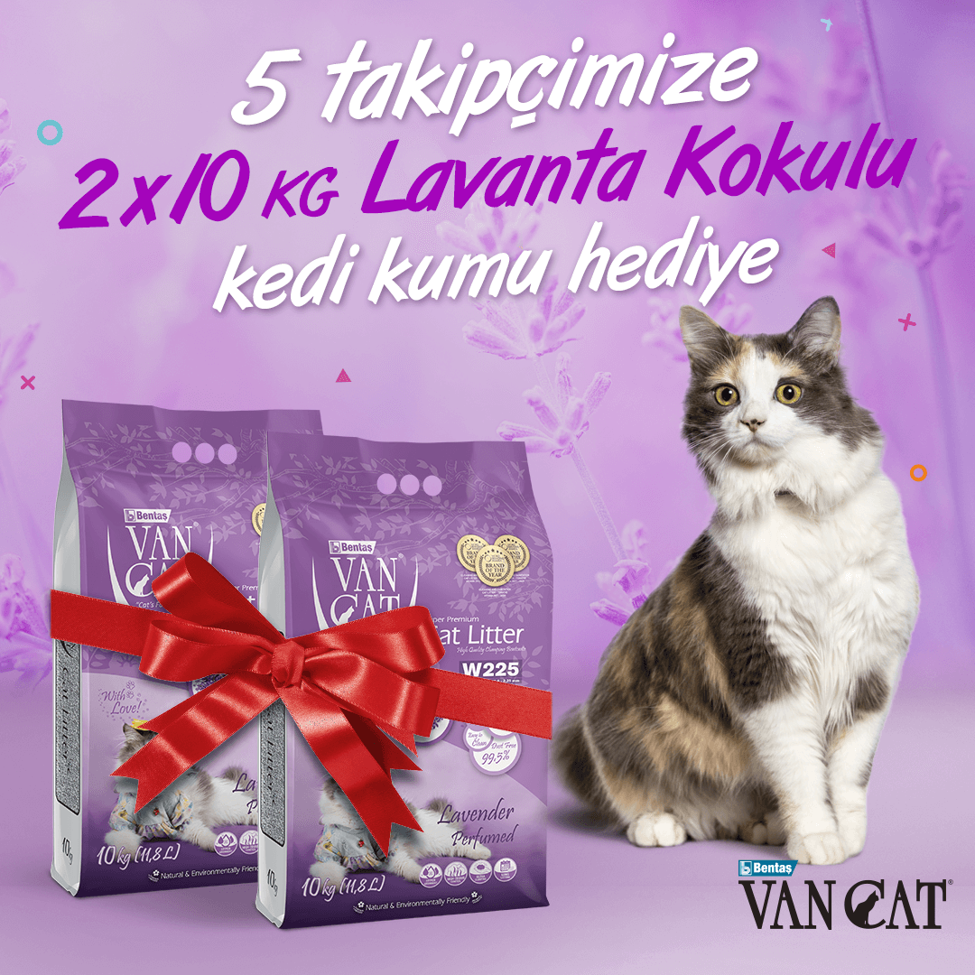 🎁 VanCat Ekim Çekilişi! 🎁

Çekilişimize katılmak için:
🐾 <a href="/VanCatTurkiye/">VanCat Türkiye</a> sayfamızı takip et,
🐾 Bu gönderiyi beğen ve repostla,
🐾 Bir arkadaşını yoruma etiketle!

5 takipçimize 2x10 kg VanCat Lavanta Kokulu #KediKumu #Hediye! 😻

🛎 Çekiliş sonuçları 2 Ekim'de açıklanacaktır.
