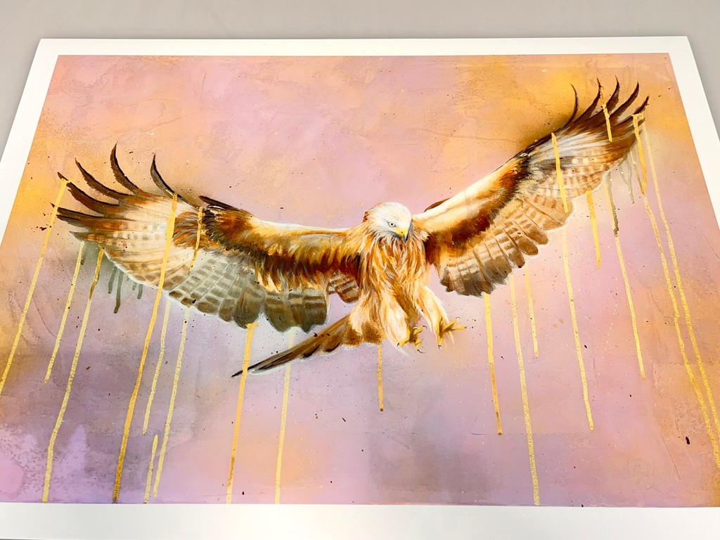 Redcliffe Imaging tweet media