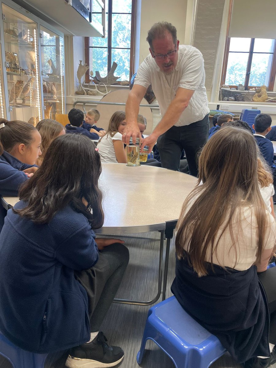 Y6 are learning lots about exploration and evolution through a very interactive experience 🙂<a href="/GBS_Beech/">Beech Class GBS Yr6</a> <a href="/GBS_Elm_Class/">Elm Class GBS Yr6</a>