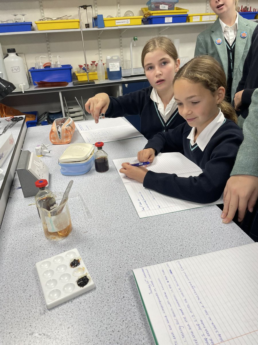 What macronutrients can we find in cannelloni? #biology #nutrition #year7