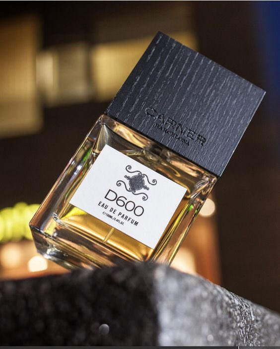 ابو عبدالرحمن العجمي tweet media