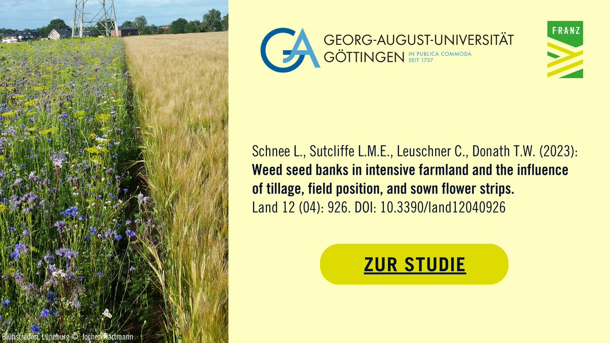 Umweltstiftung Michael Otto (@umwelt_stmo) on Twitter photo Artenvielfalt unter der Erde: welche Faktoren beeinflussen die Biodiversität in Samenbanken von Ackerwildkräutern? 🌱 Das untersuchten Wissenschaftler*innen der <a href="/uniGoettingen/">Uni Göttingen</a> innerhalb des #FRANZprojektes
Hier geht es zur Studie: bit.ly/3XoI1G4 Artenvielfalt unter der Erde: welche Faktoren beeinflussen die Biodiversität in Samenbanken von Ackerwildkräutern? 🌱 Das untersuchten Wissenschaftler*innen der <a href="/uniGoettingen/">Uni Göttingen</a> innerhalb des #FRANZprojektes
Hier geht es zur Studie: bit.ly/3XoI1G4