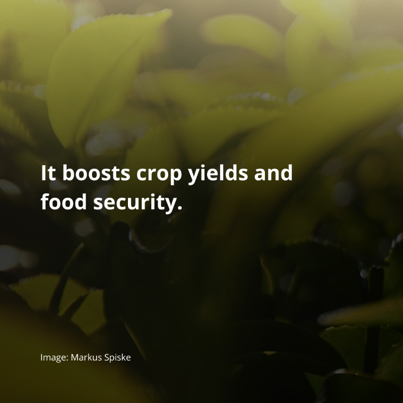 fwn_science's tweet photo. 🚨NEW analysis finds strong scientific support of the benefits of #agroecology, a nature-friendly farming approach that can provide food security, protect the planet and support farmer’s livelihoods. 

Learn more here: https://t.co/evHFPff33p

#COP16 #CBDCOP