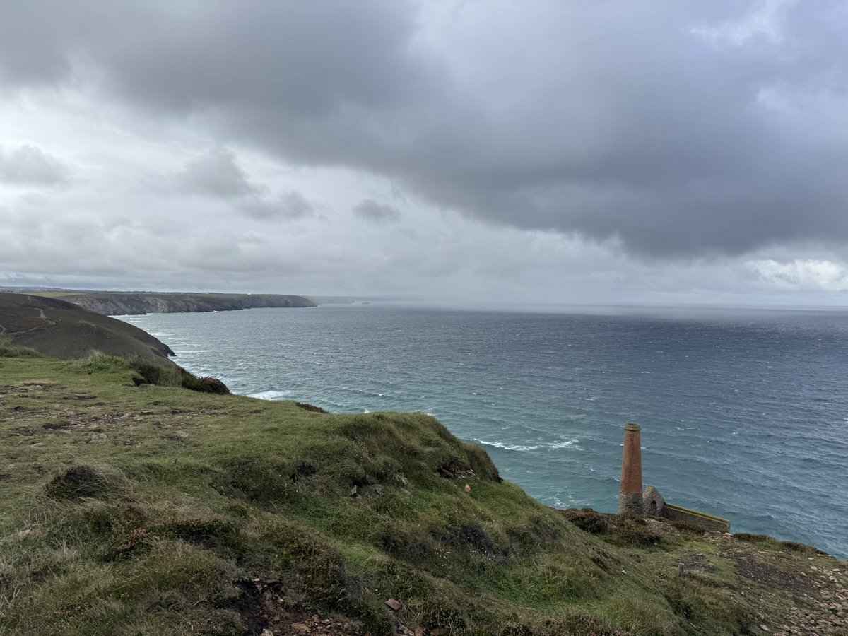 Evanbear1 tweet media