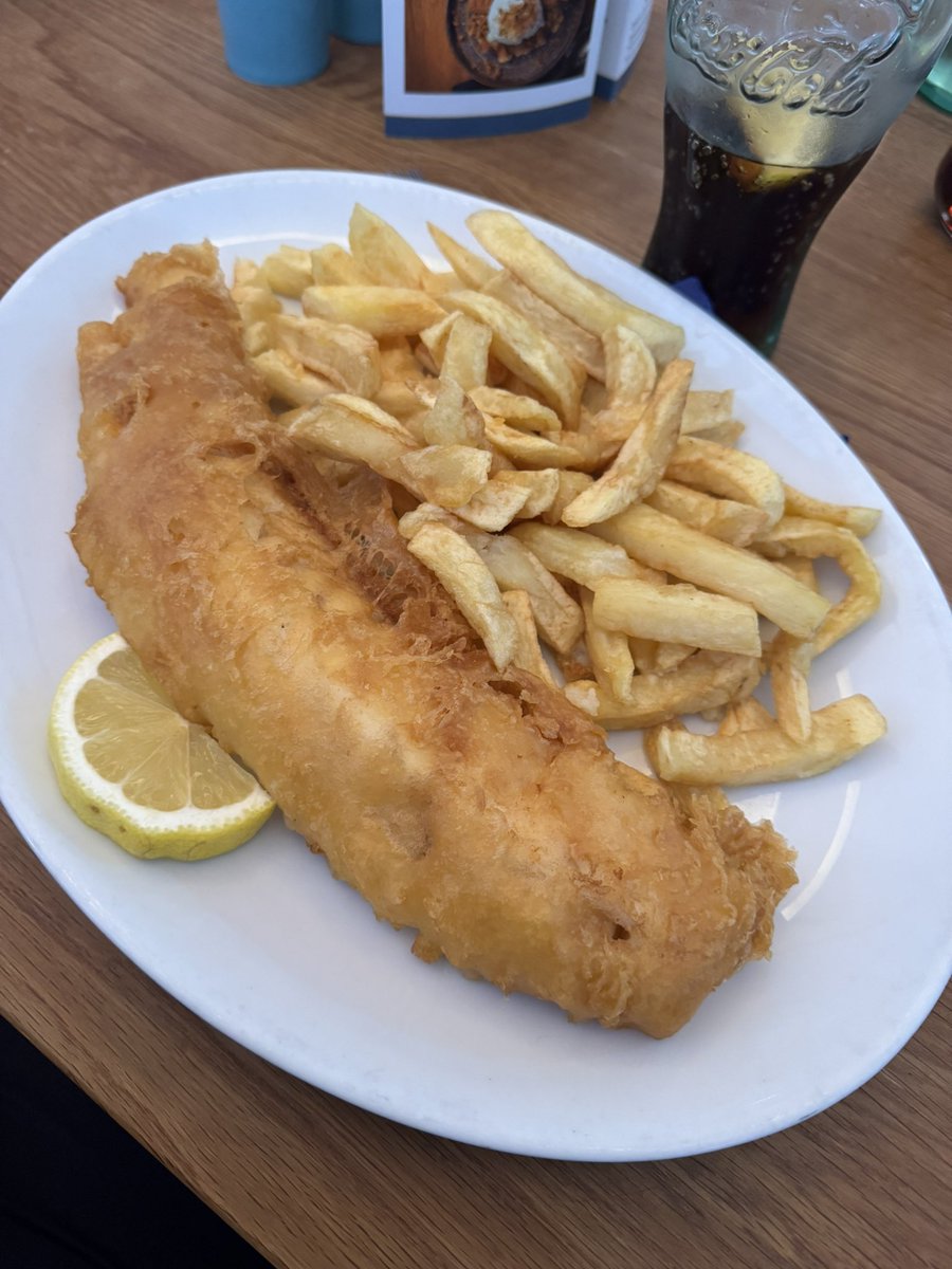 Evanbear1 tweet media