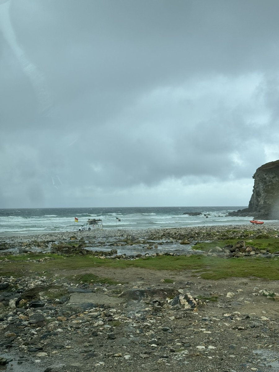 Evanbear1 tweet media