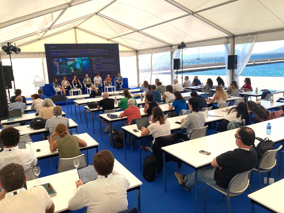 En el #SeminarioCientíficoBosqueMarino no solo hablamos sobre #posidoniaoceánica.

👉🏻También aprendemos sobre corales, sebadales, zostera, gorgonias, cystoseira y caballitos de mar🐟🐠 🪸🌱.

🔈Los expertos nos cuentan la situación de estos ecosistemas marinos, los proyectos de