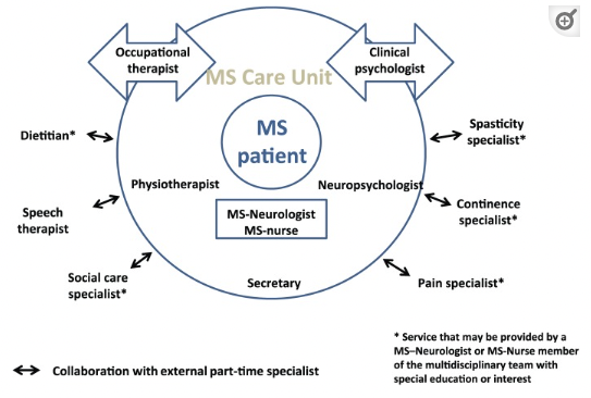 Olivia Wills tweet media