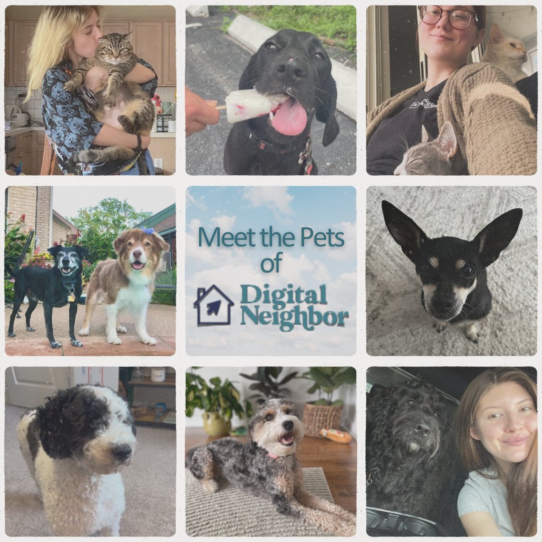 We're a team of pet lovers, and we know the joy that furry friends bring to our lives. 🐾❤️ 

#DigitalNeighbor #PetLove #AnimalLovers #FurryFriends #PetFamily
