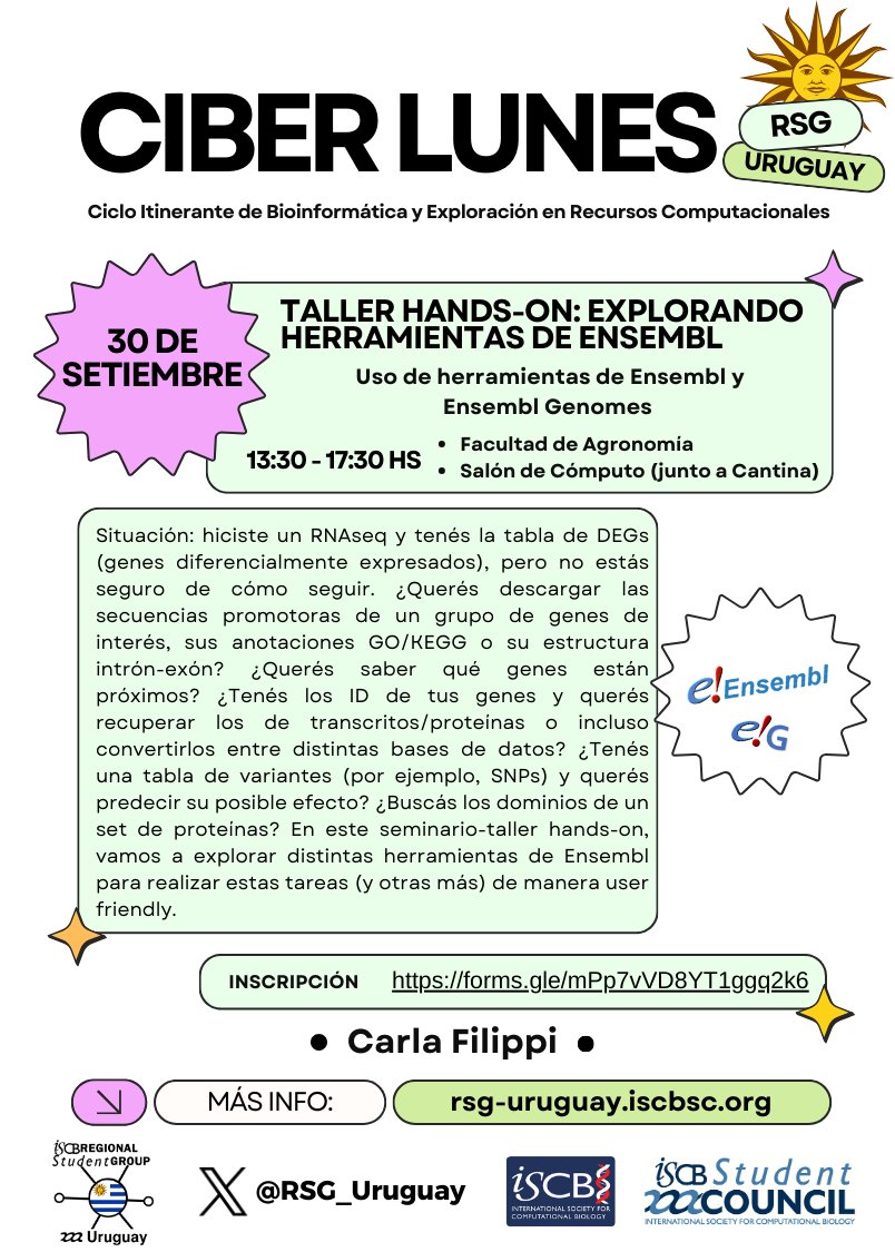 RSG_Uruguay's tweet image. 📢 ¡Ya están abiertas las inscripciones para el segundo CIBER LUNES del @rsg.uy! 🚀💻
🗓️ Lunes 30 de setiembre, 13:30 HS
📍 Ubicación: Facultad de Agronomía
🔗 Inscripciones: forms.gle/mPp7vVD8YT1ggq…
¡No te lo pierdas ! ✨🙌