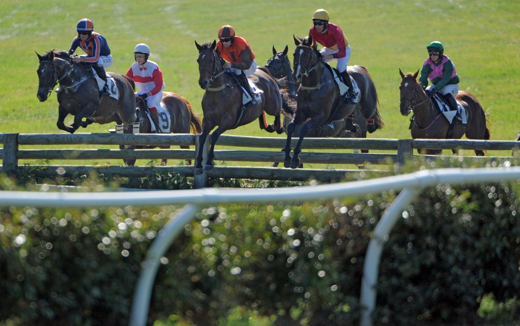 Balt Sun Visuals tweet media