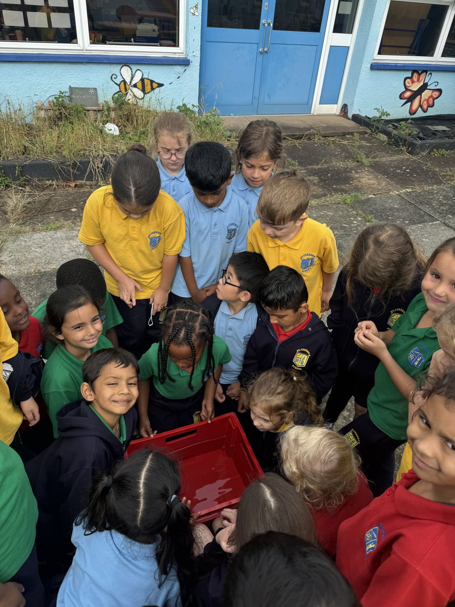 StTeresasHarrow's tweet image. This week, year 2 have been super scientists! They have been thinking about properties of materials and which would be suitable to make a boat. #LandAhoy #StTs #sinkorfloat?@Cornerstonesedu #Science