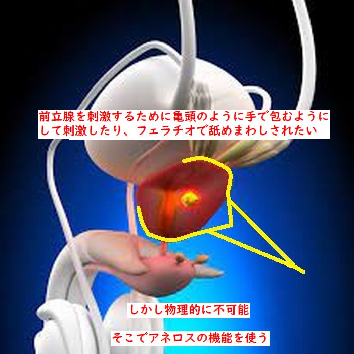 prostate727's tweet photo. PC筋の動かし方が判らない人へ

極めて単純です
体の色々な筋肉に力を入れてみましょう
筋肉に力を入れると盛り上がりますね

この原理をPC筋で使います
細かい位置は気にしなくていいです

指で会陰を押す
PC筋で押し返す
反応があればヨシ

#ドライオーガズム #アナル #アネロス https://t.co/tiq0WqwJFW