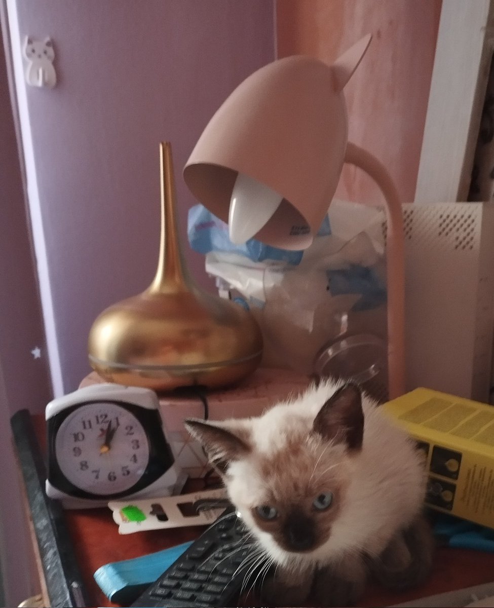 || Por fin tengo un Azrael