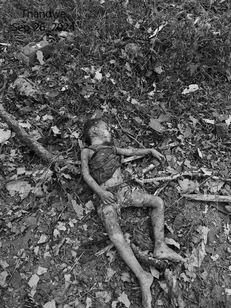 **14 IDPs Including Children Were Killed and 25 Injured in Airstrike by Military Council in Thandwe**

**AB News - September 26, 2024**

Today, at around 7:40 AM on September 26, the military council forces launched an airstrike using jet aircraft targeting the City Hall and