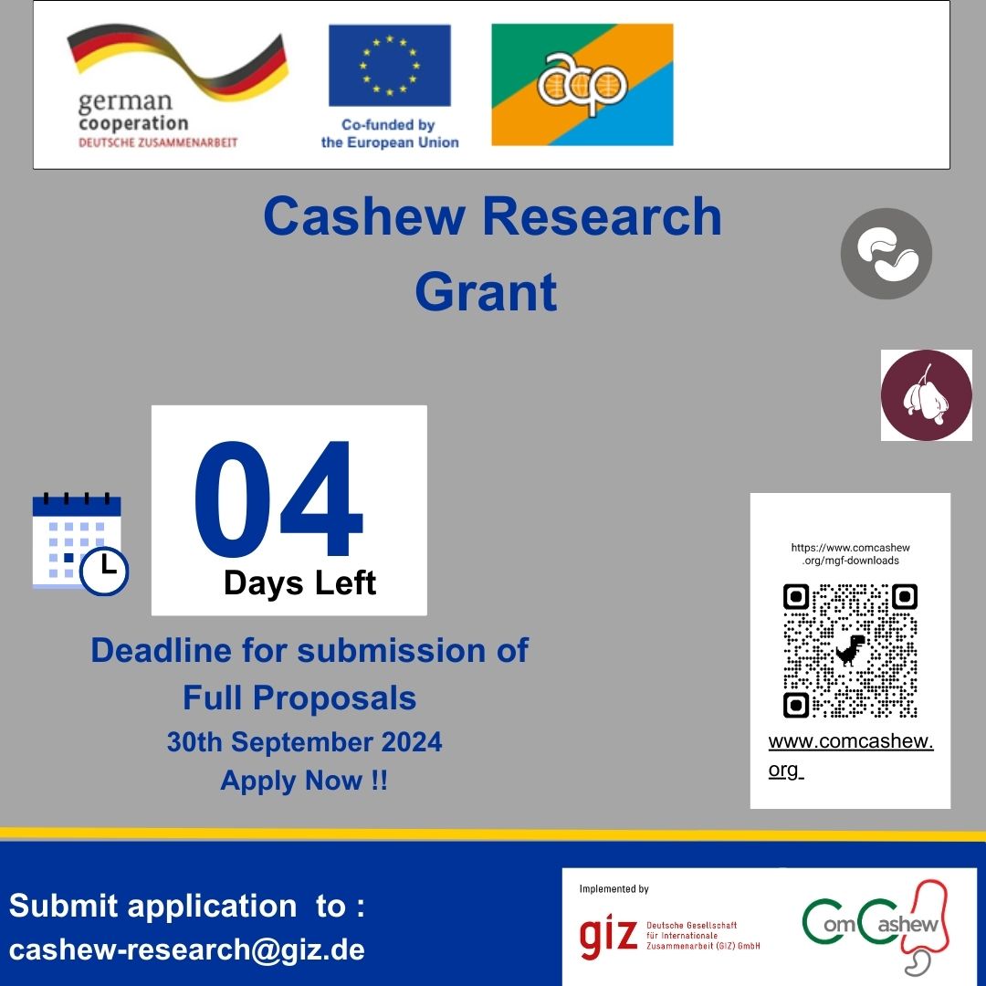 ComCashew tweet media