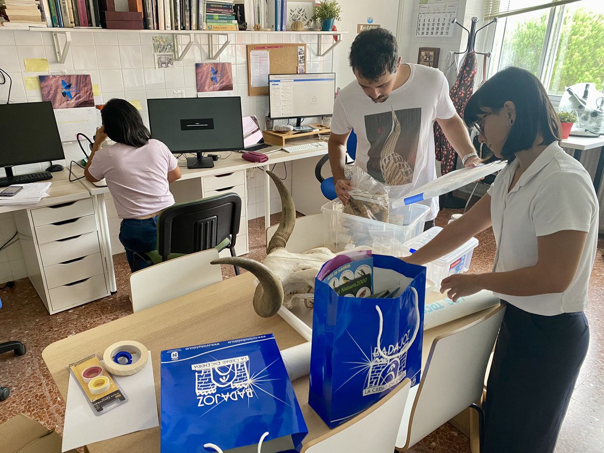 ¡Este viernes a las 17:30 nos sumamos a #LaNocheDeLosInvestigadores en la <a href="/infouex/">UEx</a> ! 🔬✨ 
Estamos preparando todo para una tarde llena de ciencia, animales 🦉🦋, descubrimientos y diversión. ¡Te esperamos! 🐞🔍📚 #CienciaParaTodos #UEx #Investigación