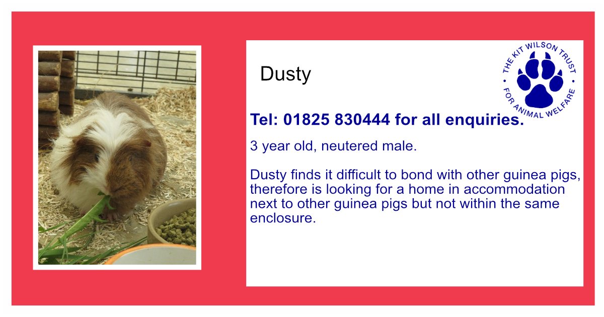 Kit Wilson Trust (@kitwilsontrust) on Twitter photo 