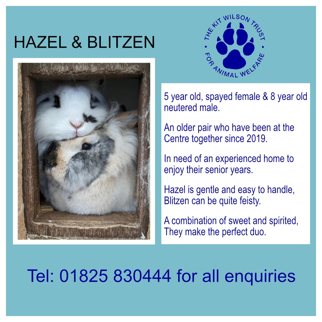 Kit Wilson Trust (@kitwilsontrust) on Twitter photo 