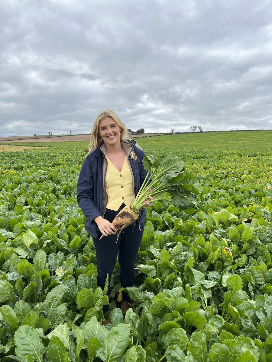 paddyjack37's tweet photo. Jill Anderson inspecting the Delicante fodder beet at Lempitlaw, Kelso
#dlfseeds#HFSeeds https://t.co/VvUkiow2n3