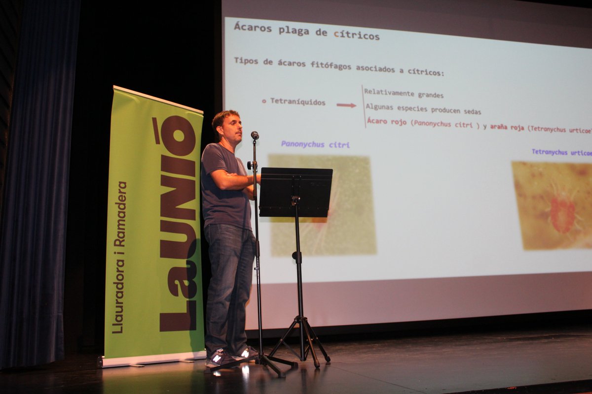 UnioLlauradora's tweet image. 🍊 Continuem amb les IV Jornades Citrícoles de @UnioLlauradora a @ajbetxi És el torn de la prevenció i control d&apos;algunes plagues que porten de cap als productors: HLB, mosques blanques i àcars a càrrec de tres destacats experts de @GVAivia @GVAagricultura
#IVJornadesCitrícoles