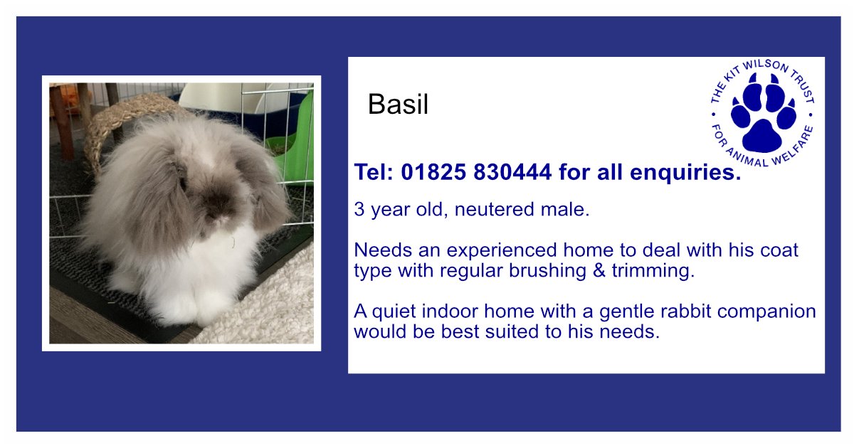 Kit Wilson Trust (@kitwilsontrust) on Twitter photo 