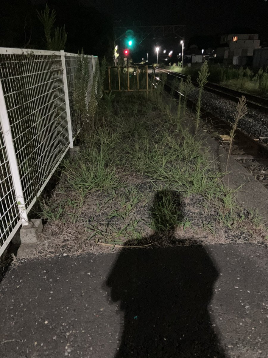 kisuMeidnA's tweet photo. はて？はて… https://t.co/BrjGwLHCZw