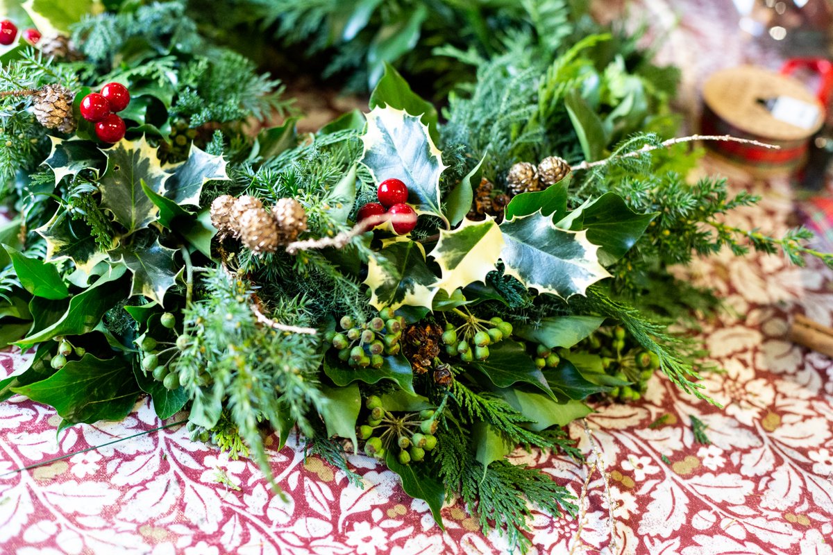 Great Comp Garden tweet media