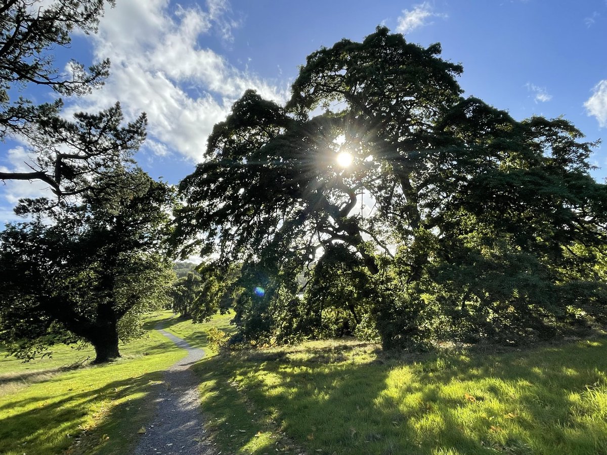 Maggie Doyle (@maggiedoylefarm) on Twitter photo ‘The Light in the Trees’ - I’m hosting this introduction to nature writing workshop <a href="/ISLANDartsbiz/">ISLAND Arts Centre</a> on 10th October 7-9 pm. You can book with this link islandartscentre.com/event/the-ligh…
<a href="/ArtsCouncilNI/">Arts Council of Northern Ireland</a> <a href="/PENIreland/">Irish PEN</a> <a href="/IrishWritersCtr/">Irish Writers Centre</a> <a href="/FreeToWrite2024/">Freedom To Write Project 2025</a> 🙏 ‘The Light in the Trees’ - I’m hosting this introduction to nature writing workshop <a href="/ISLANDartsbiz/">ISLAND Arts Centre</a> on 10th October 7-9 pm. You can book with this link islandartscentre.com/event/the-ligh…
<a href="/ArtsCouncilNI/">Arts Council of Northern Ireland</a> <a href="/PENIreland/">Irish PEN</a> <a href="/IrishWritersCtr/">Irish Writers Centre</a> <a href="/FreeToWrite2024/">Freedom To Write Project 2025</a> 🙏