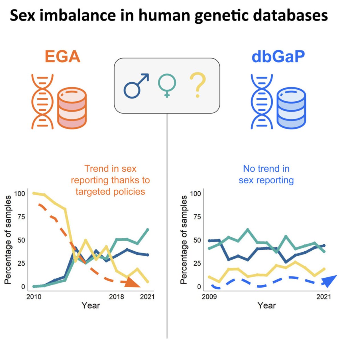 BuslonNataly's tweet photo. ➡️Recommendations for better practices in health databases:  
1. Provide clear definitions of sex and gender
2. Improve data management
3. Privacy preservation
4. Transparency and accountability
5. Promote education and social impact assessment https://t.co/sfZfRzQH4c