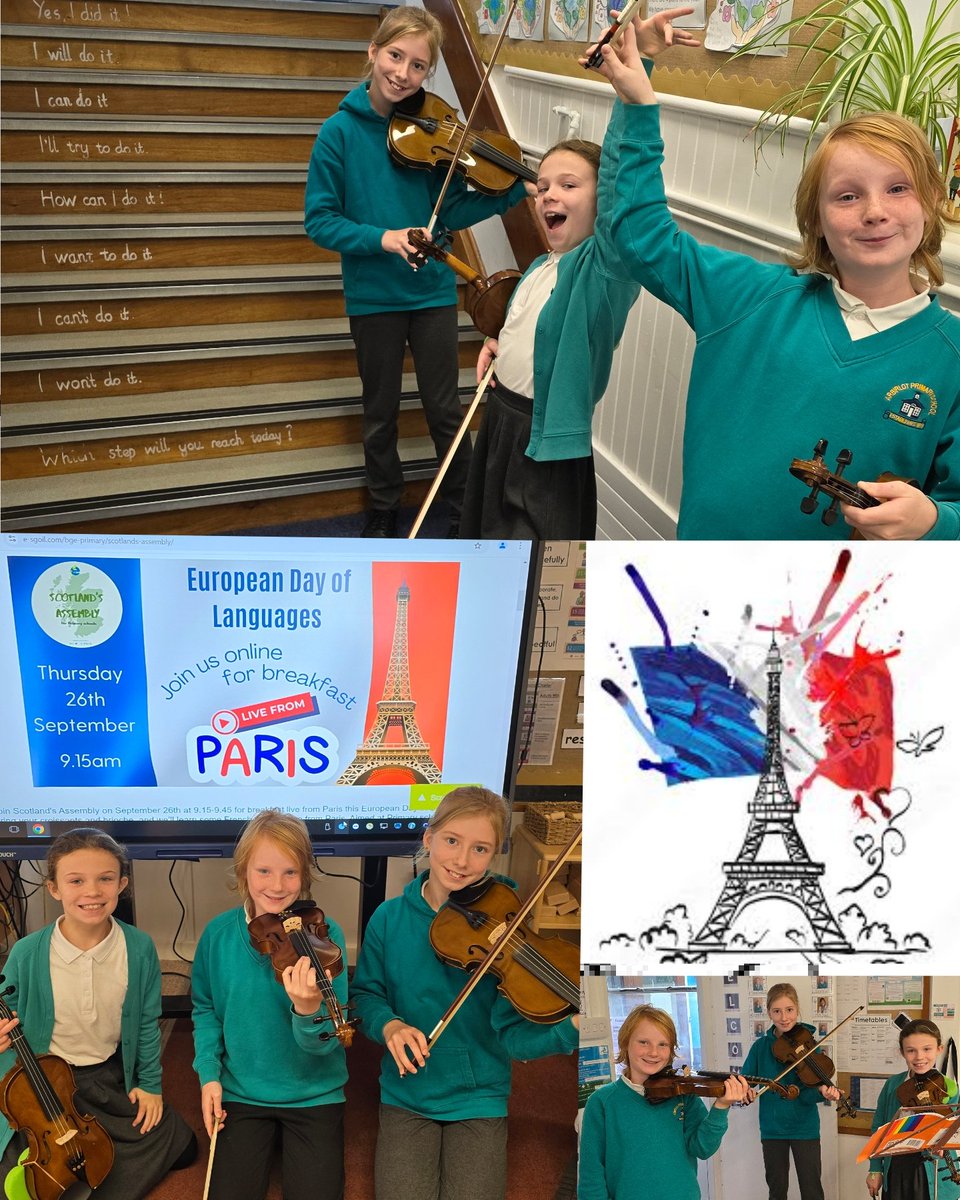 Miranda Strings tweet media