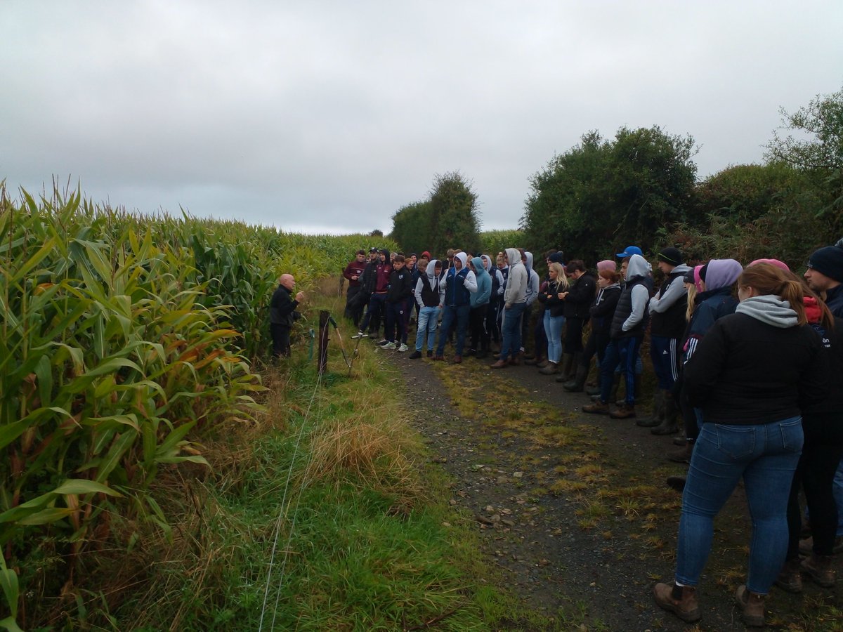 John Geraghty (@geraghtywit) on Twitter photo Great farm visit with Mike Walsh and the final year students; field lab on crop forages - maize, beans and multi-species. No nitrogen fertiliser - healthy, high lactation herd. <a href="/SETUAgriculture/">AgricultureSETU (Waterford)</a> <a href="/agriculture_ie/">Dept of Agriculture, Food and the Marine</a> <a href="/NatOrgSkill/">National Organic Training Skillnet</a> <a href="/IrishOrganicA/">Irish Organic Association</a> <a href="/organictrust/">Organic Trust</a> Great farm visit with Mike Walsh and the final year students; field lab on crop forages - maize, beans and multi-species. No nitrogen fertiliser - healthy, high lactation herd. <a href="/SETUAgriculture/">AgricultureSETU (Waterford)</a> <a href="/agriculture_ie/">Dept of Agriculture, Food and the Marine</a> <a href="/NatOrgSkill/">National Organic Training Skillnet</a> <a href="/IrishOrganicA/">Irish Organic Association</a> <a href="/organictrust/">Organic Trust</a>