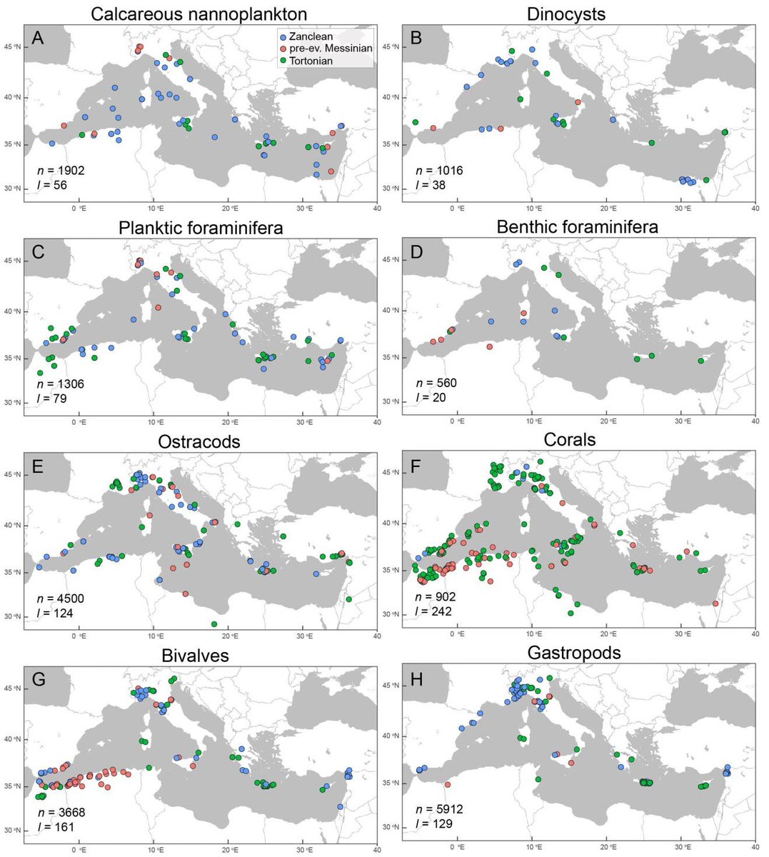 We can call today's article a 'prequel' of last month's Science paper:
23,000 fossils, 4903 species identified from 1755 genera.
Late Miocene transformation of Mediterranean Sea biodiversity | Science Advances science.org/doi/10.1126/sc…
