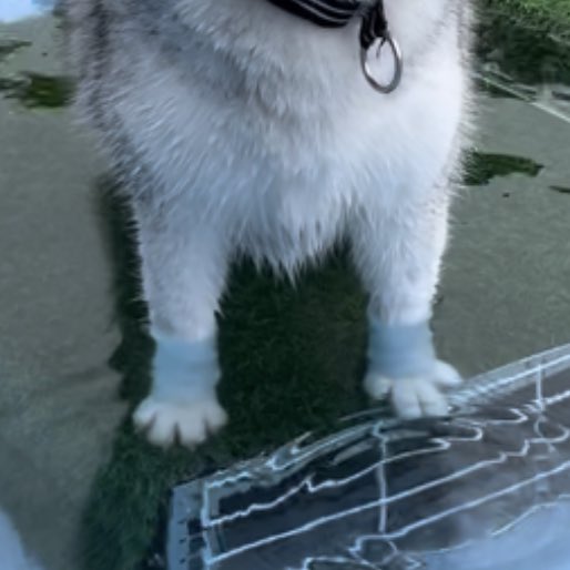 おててクリームパンじゃん