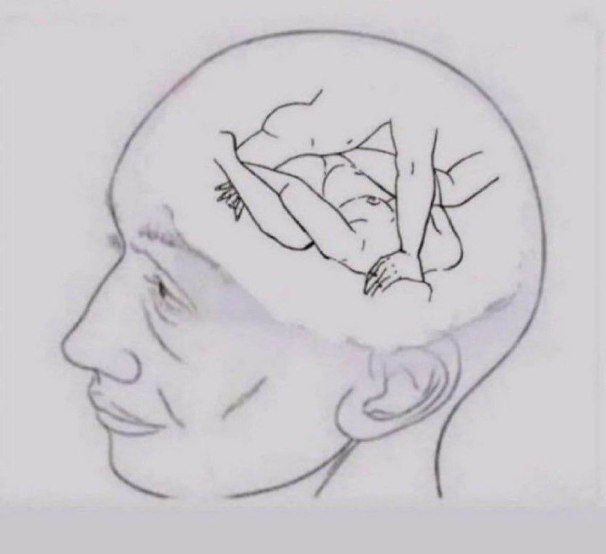 我的脑子