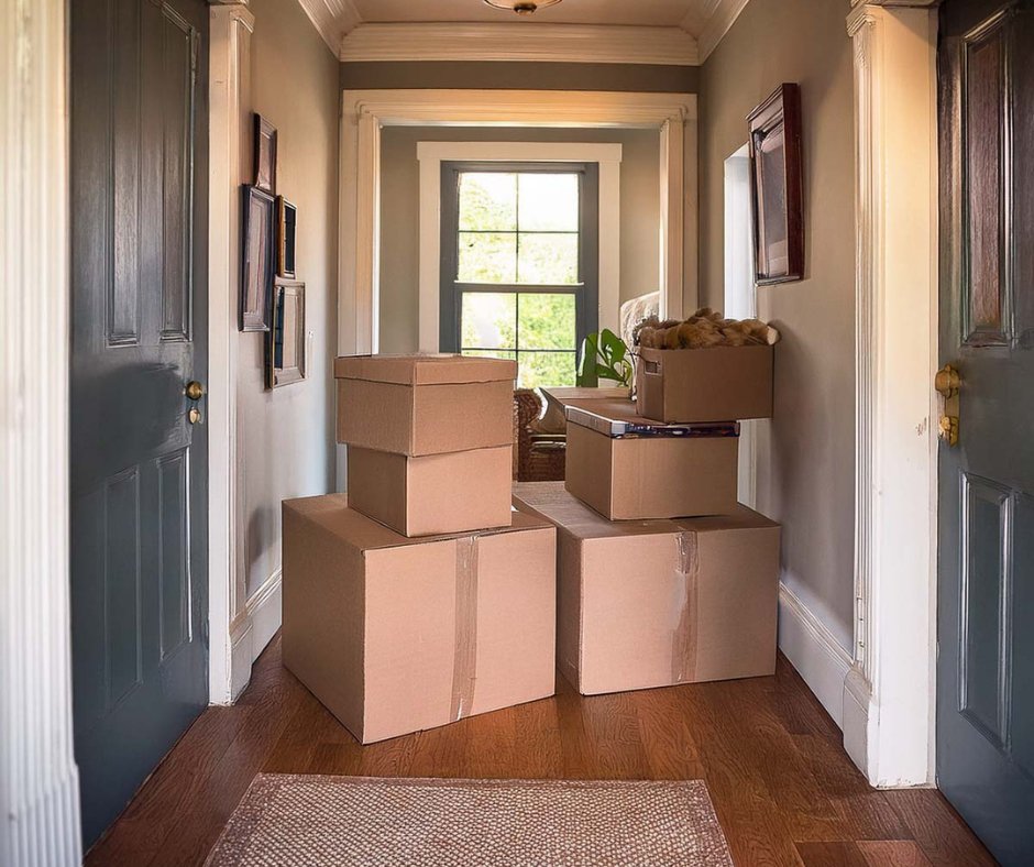 Moving into a new home?

Get organised with this ultimate checklist of 50+ essential items you'll need for your new space.
designhunter.co.uk/new-home-essen…