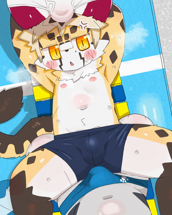 どり tweet media