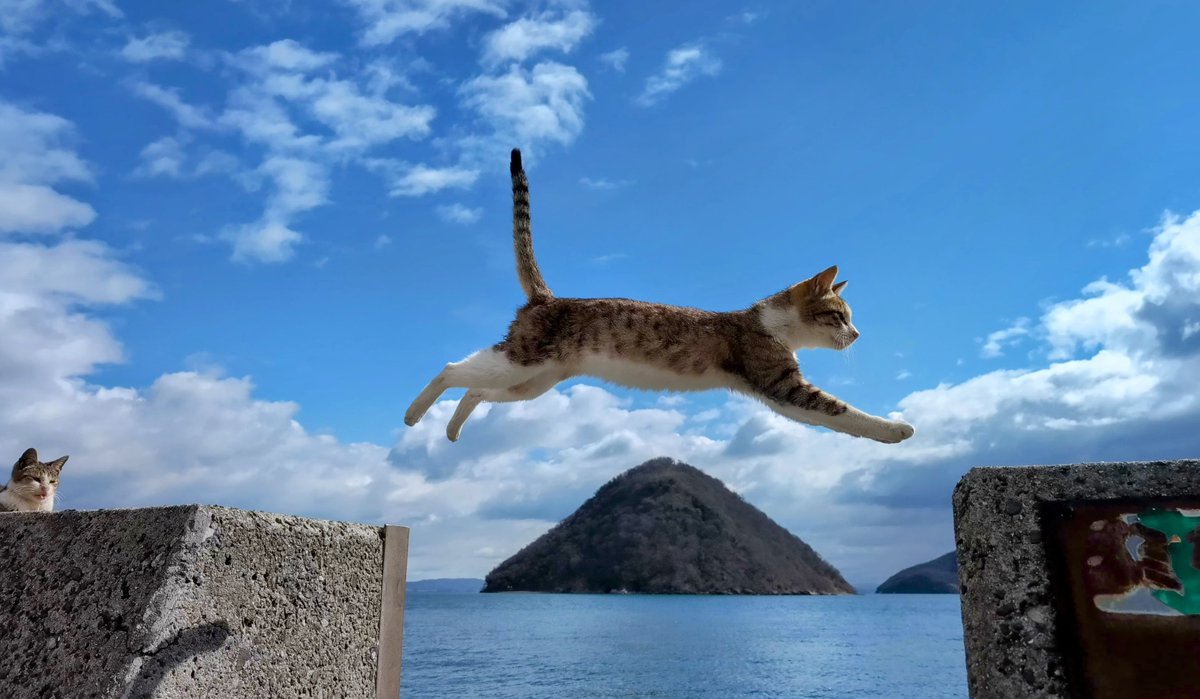 月末低速(レジゴー難民)🌵･･ tweet media