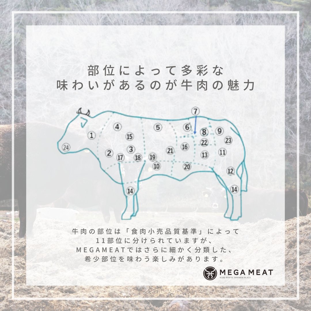 _megameat's tweet photo. 脂の入り具合、食感など部位によって多彩な味わいがあるのが牛肉の魅力。

自分好みの部位を見つけ、お肉を楽しんでください！ https://t.co/IvDIeZaIY4