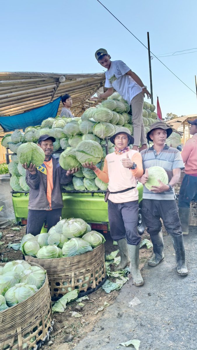 BREAKING NEWS

 #Kobis Rp400/kg
Harga terendah dlm 15 tahun terakhir.