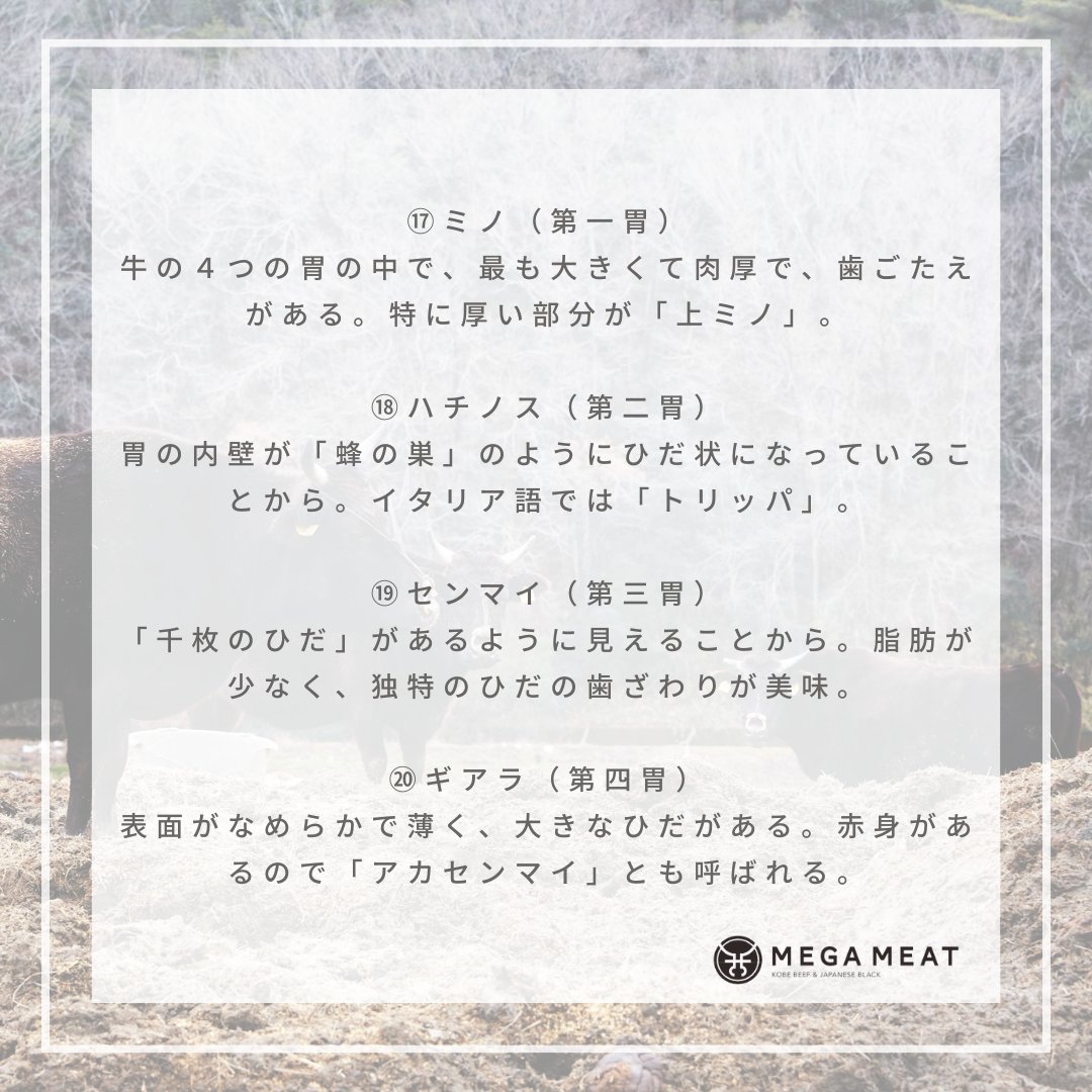 _megameat's tweet photo. お肉を部位で購入すると、
その筋肉の特徴が良くわかります。

自分の中で基準を持つことで、
お肉の世界の広さを知ることが出来ます。

牛肉の部位買いはお肉を知る最適な入り口。

自分の舌で自分の基準を持つ。
これもお肉の世界を楽しむ一つの方法です。 https://t.co/QWp3hpKtoF