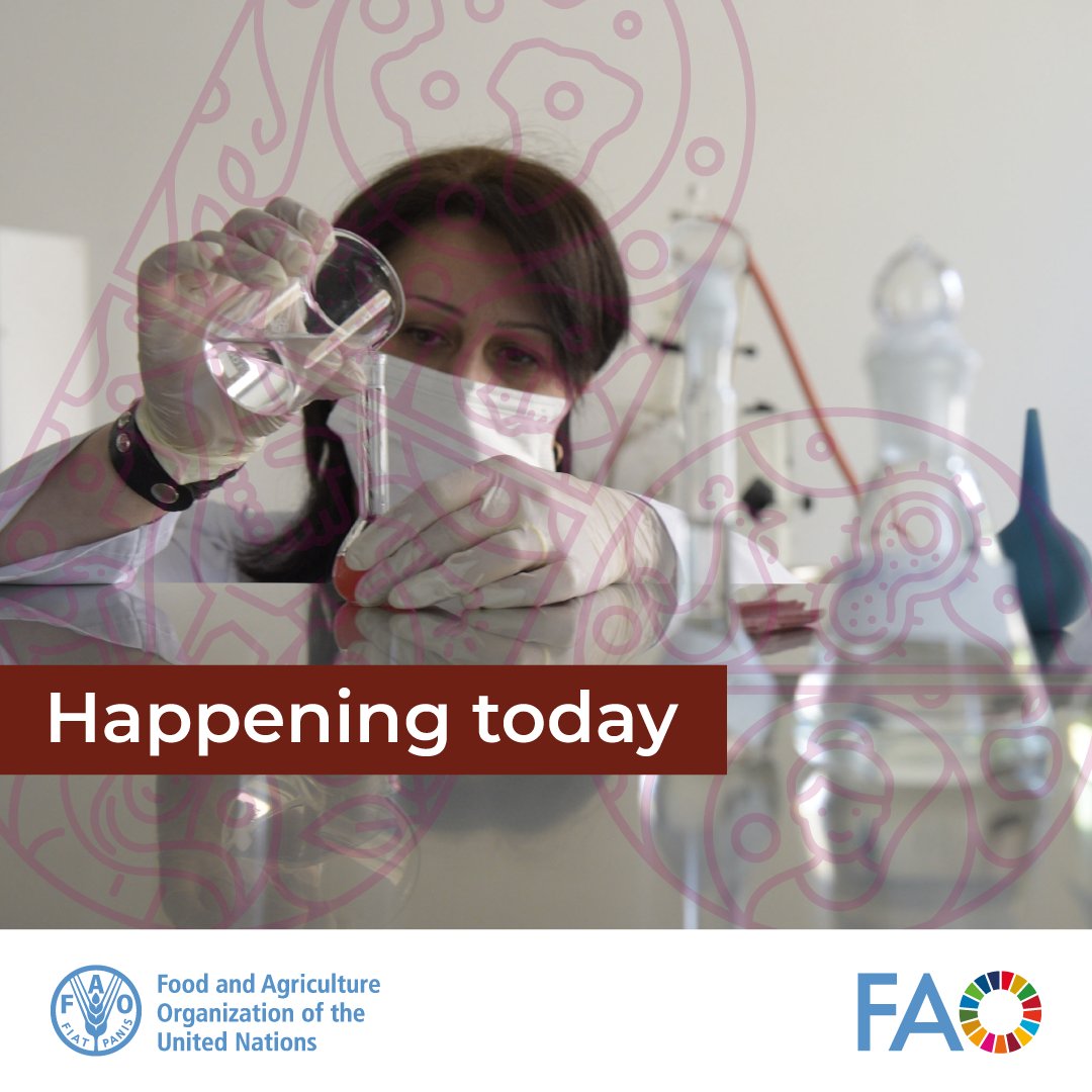FAOLivestock's tweet image. Tackling #AntimicrobialResistance in agrifood sector demands cross-sector collaboration. The #OneHealth approach unites animal, human, and environmental health to address AMR.
🔴 The #UNGA High-Level Meeting on #AMR is live today. Watch the webcast⤵️
bit.ly/3MPn2HJ