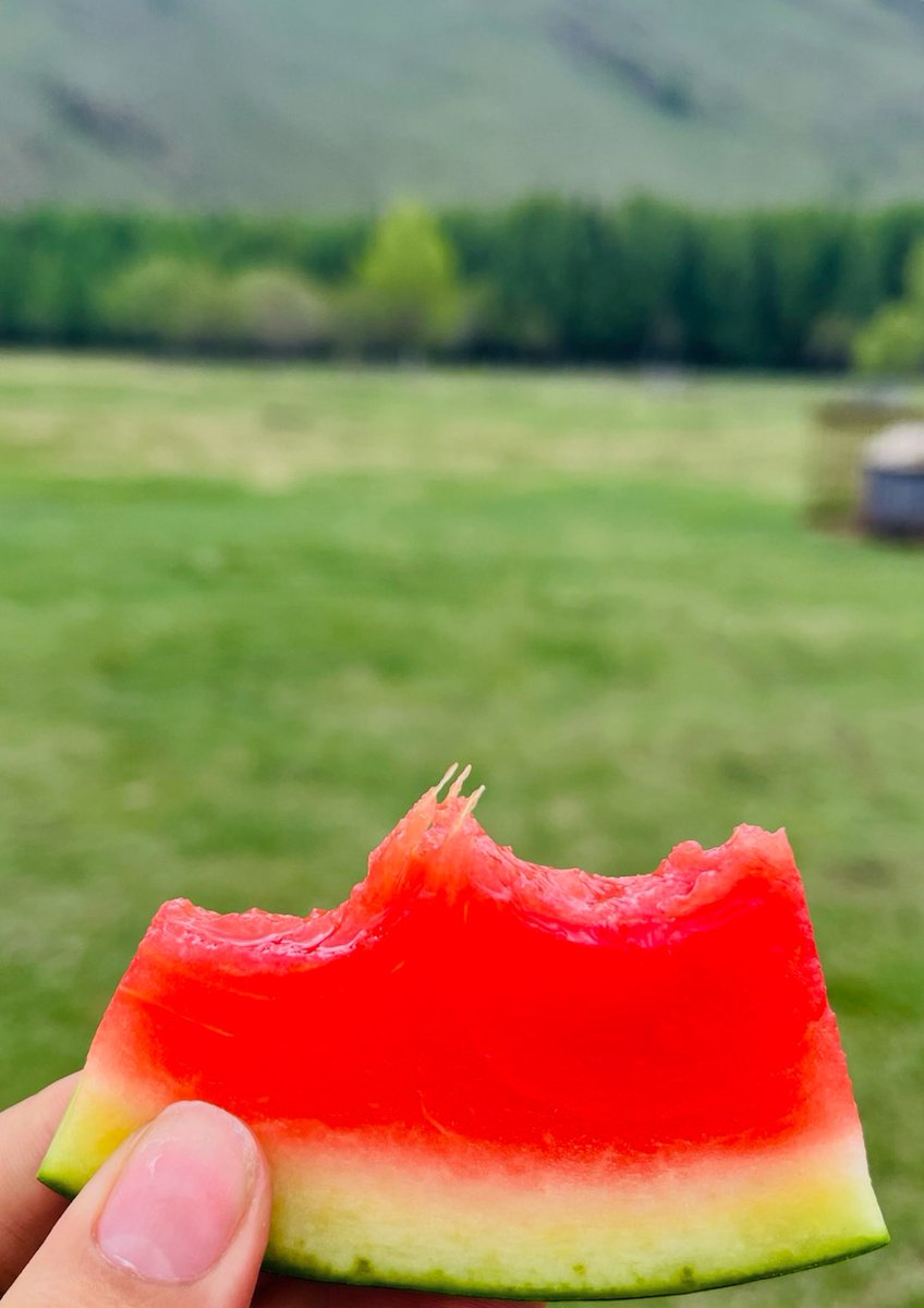 Дагасан хүн бүрийг дагана. Хамтдаа Х ээс цалин авцгаая $$$