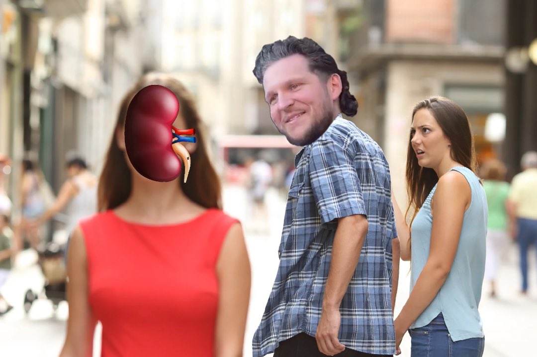 fried_friar's tweet image. Day 23 resharing #TheKidney info for Leb…please share #NumbersGame

Lifespan.org/donorguide